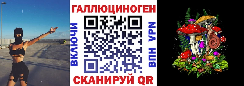 где продают наркотики  kraken ONION  Псилоцибиновые грибы Psilocybe  Торжок 