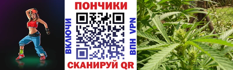 Каннабис Amnesia  цена   Торжок 